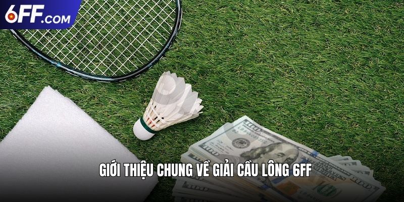 Giải Cầu Lông 6FF Trải Nghiệm Đỉnh Cao, Săn Ngay Thưởng Lớn - RIDUVE