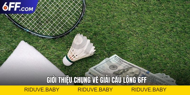 Giải Cầu Lông 6FF Trải Nghiệm Đỉnh Cao, Săn Ngay Thưởng Lớn - RIDUVE