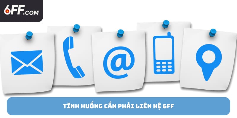 Liên Hệ 6FF - Kết Nối Nhanh Chóng Phản Hồi Trọng Tâm - RIDUVE