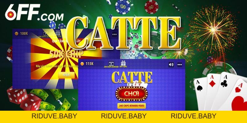 Hướng Dẫn Cách Chơi Catte Chi Tiết Cho Người Mới Bắt Đầu - RIDUVE