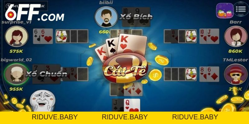 Hướng Dẫn Cách Chơi Catte Chi Tiết Cho Người Mới Bắt Đầu - RIDUVE
