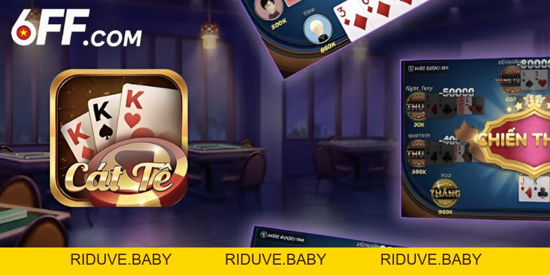 Hướng Dẫn Cách Chơi Catte Chi Tiết Cho Người Mới Bắt Đầu - RIDUVE