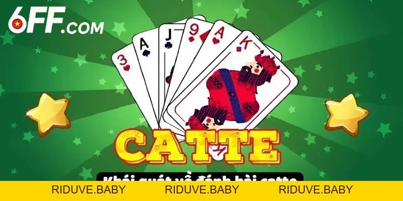 Hướng Dẫn Cách Chơi Catte Chi Tiết Cho Người Mới Bắt Đầu - RIDUVE