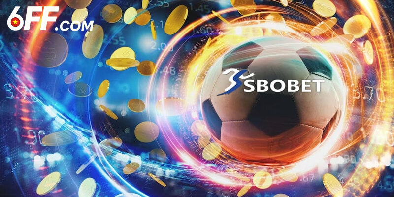SBO BET - Sảnh Cá Cược Thể Thao Thịnh Hành Nhất 2026 - RIDUVE