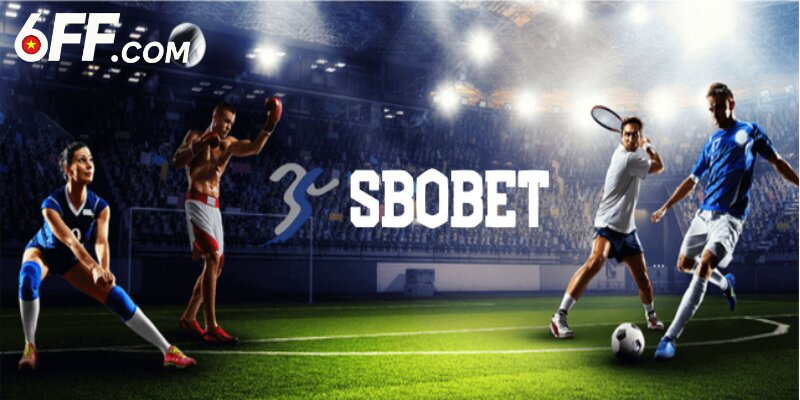 SBO BET - Sảnh Cá Cược Thể Thao Thịnh Hành Nhất 2026 - RIDUVE