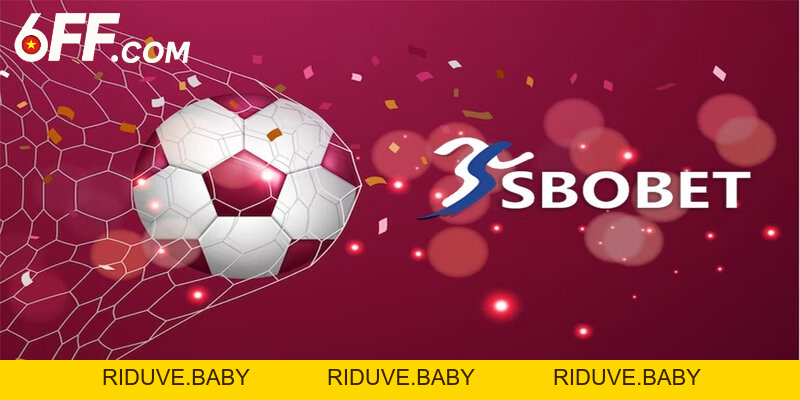 Thể Thao 6FF: Trải Nghiệm Giải Đấu Sports Kịch Tính Mỗi Ngày - RIDUVE